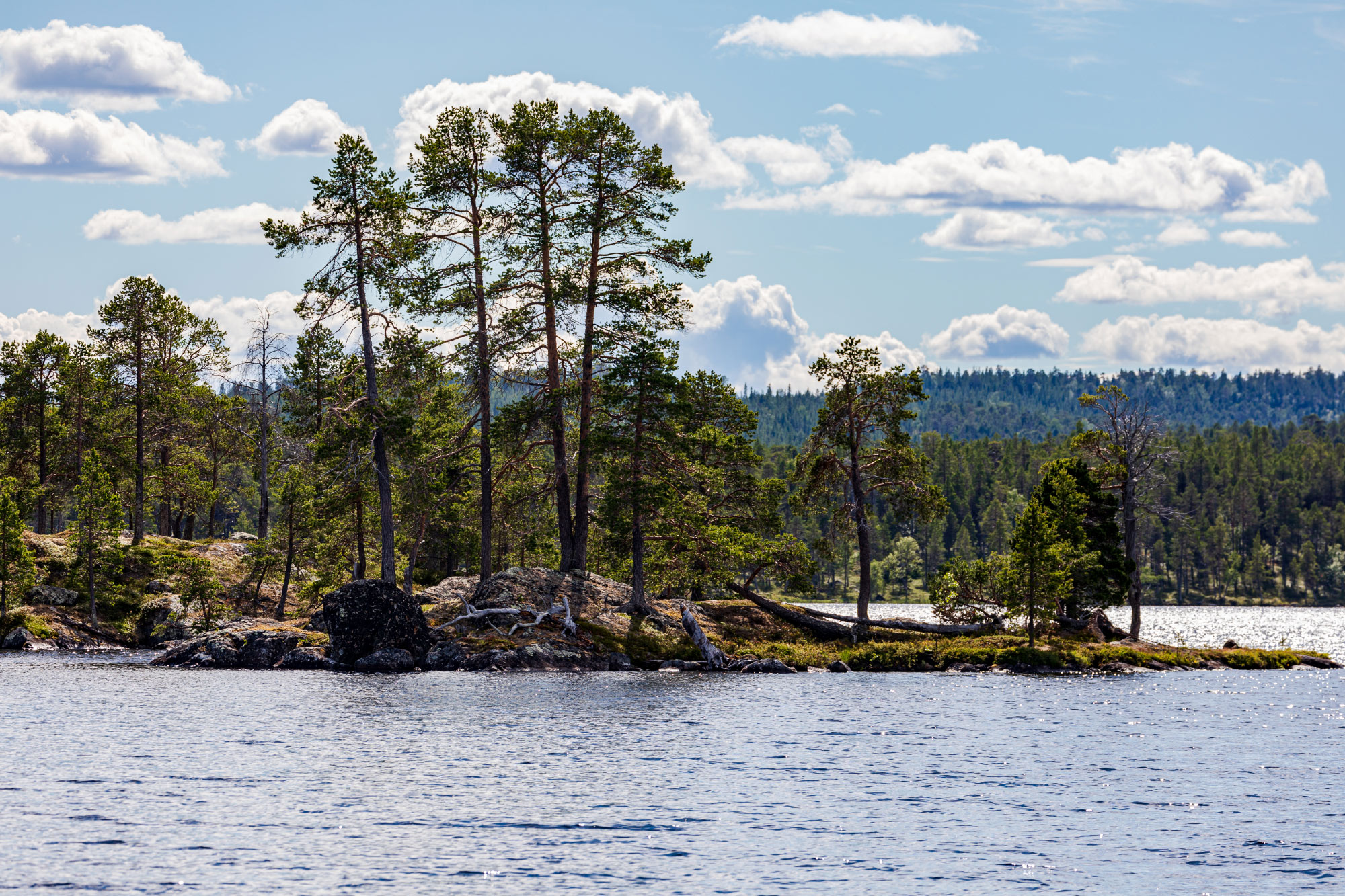 Inari (Photo license: CC BY 2.0)